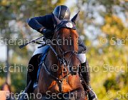 Paini Rosa Cocktail GioCav2013 S5 3569 : Campionati Italiani Giovani Cavalli, Cattolica, Paini Paolo, Rosa Cocktail, ph Stefano Secchi ©